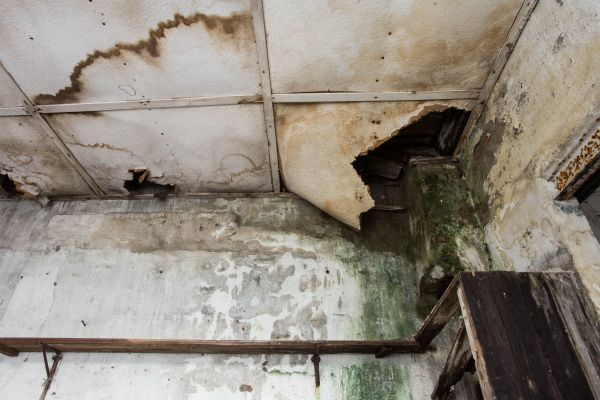 Water Damage Service in Saint Charles
