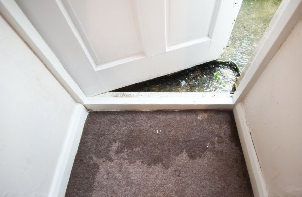 Cost of Wet Carpet Restoration in Saint Charles