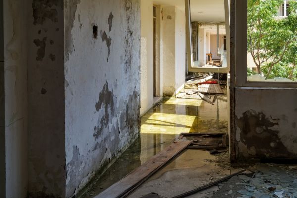 Cost of Water Removal Service in Saint Charles