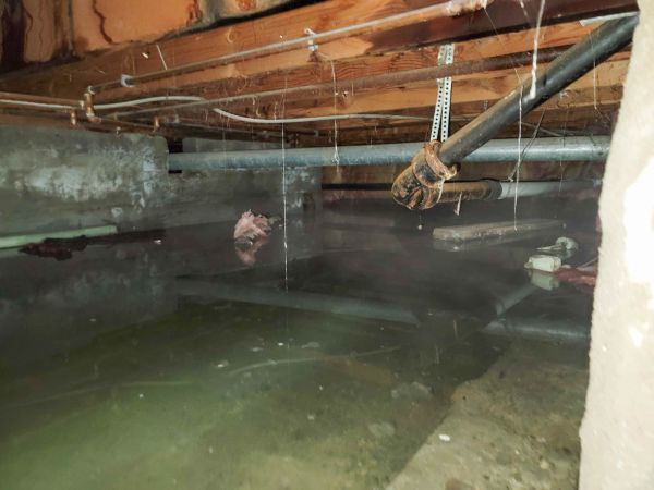 Cost of Crawlspace Water Restoration in Saint Charles