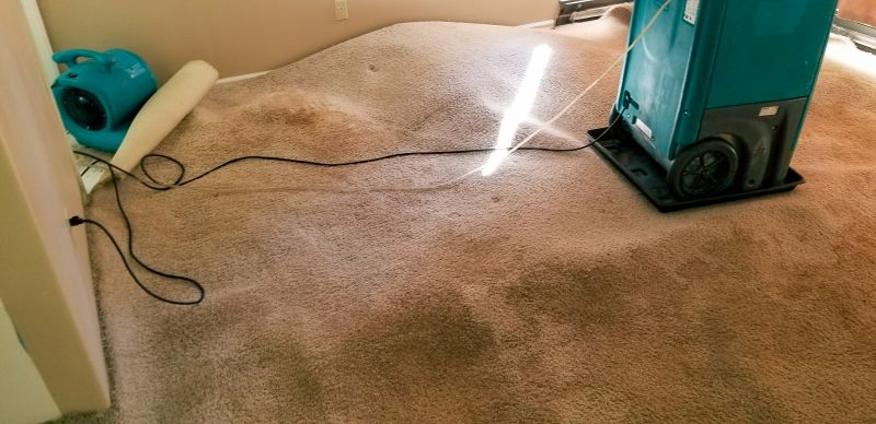 Wet Carpet Drying